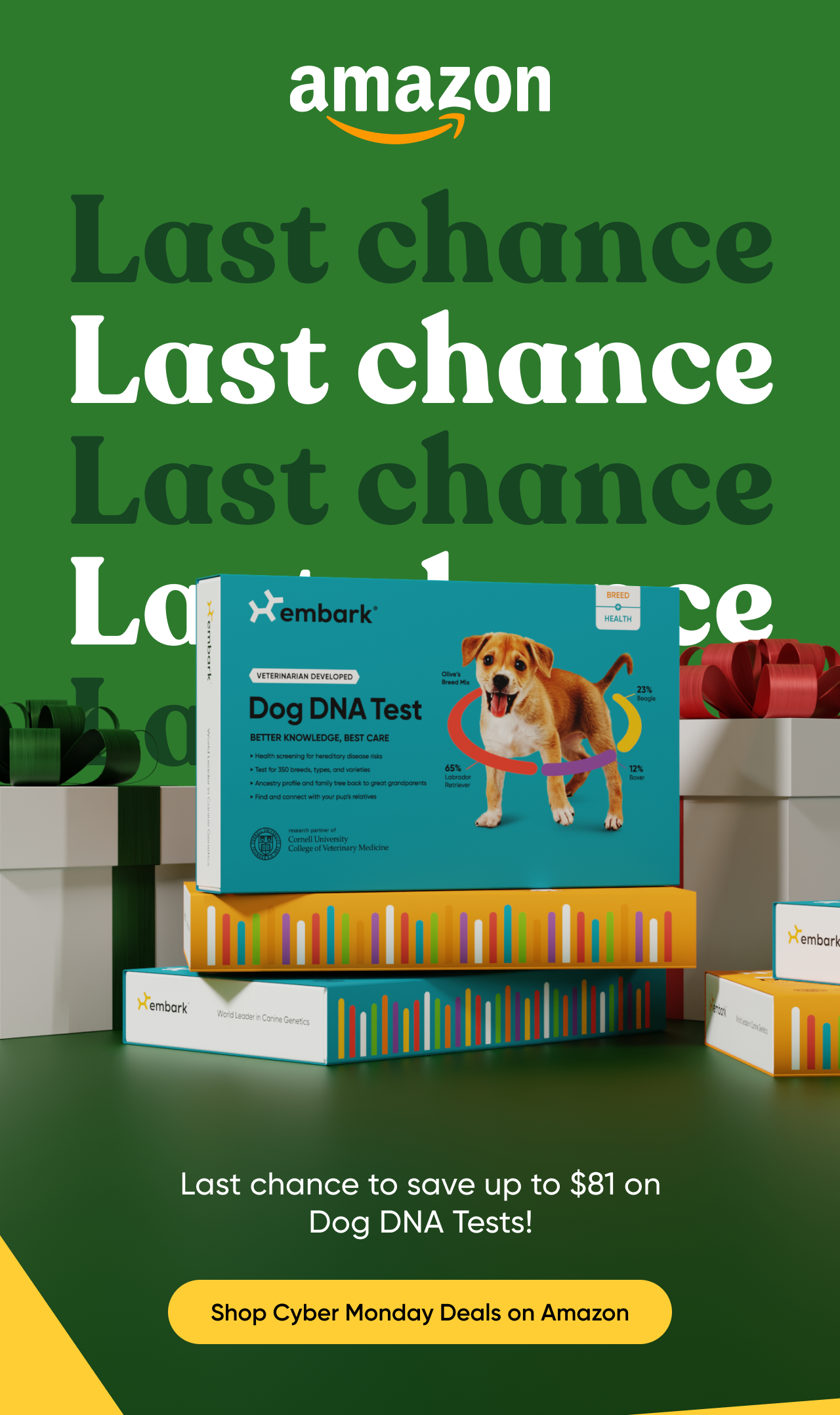 Last chance to save up to $81 on Dog DNA Tests on Amazon!