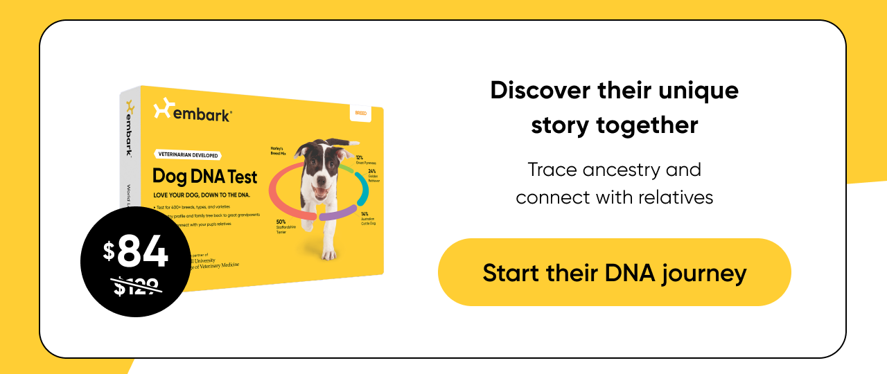 Shop Breed ID Test