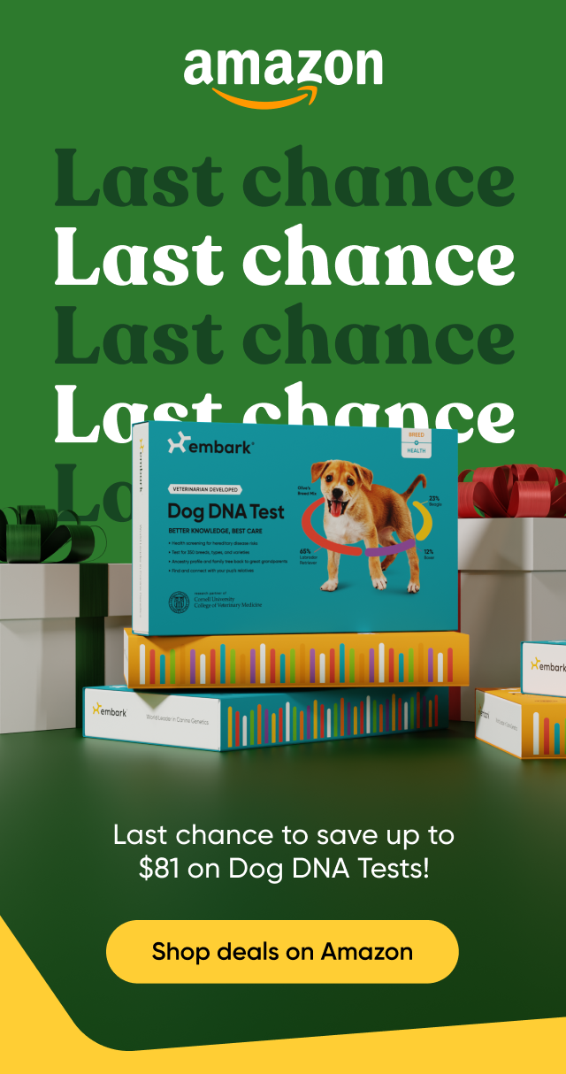 Last chance to save up to $81 on Dog DNA Tests on Amazon!
