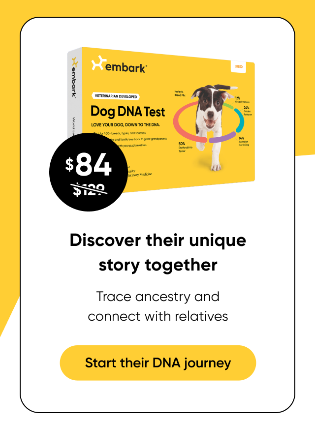 Shop Breed ID Test