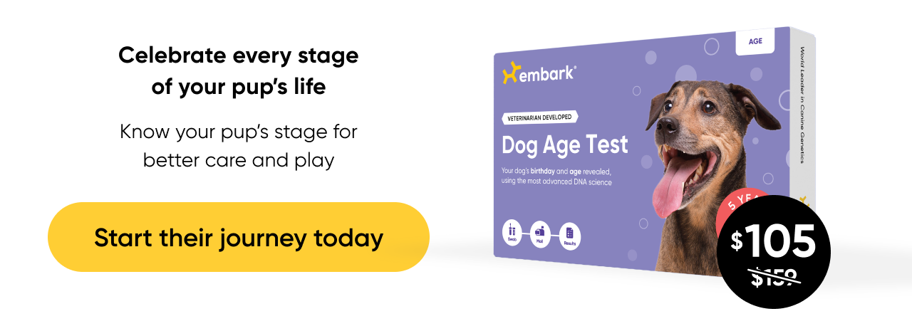 Shop Age Test