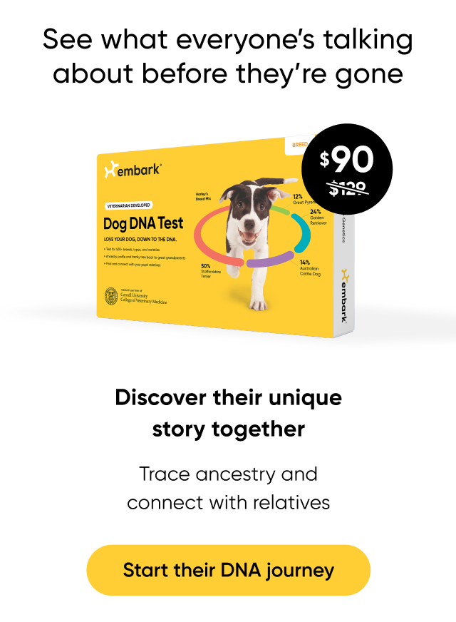 Shop Breed ID Test