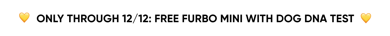 Only through 12/12: free Furbo Mini with Dog DNA Test