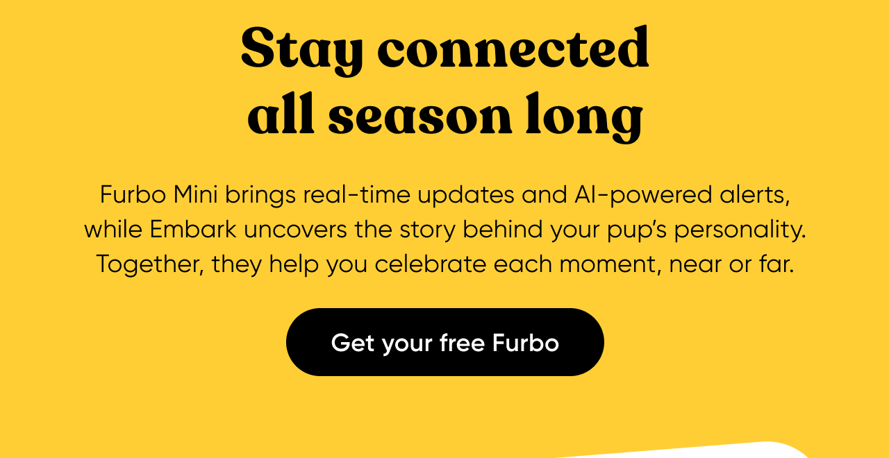 Stay connected all season long. Get your free Furbo.