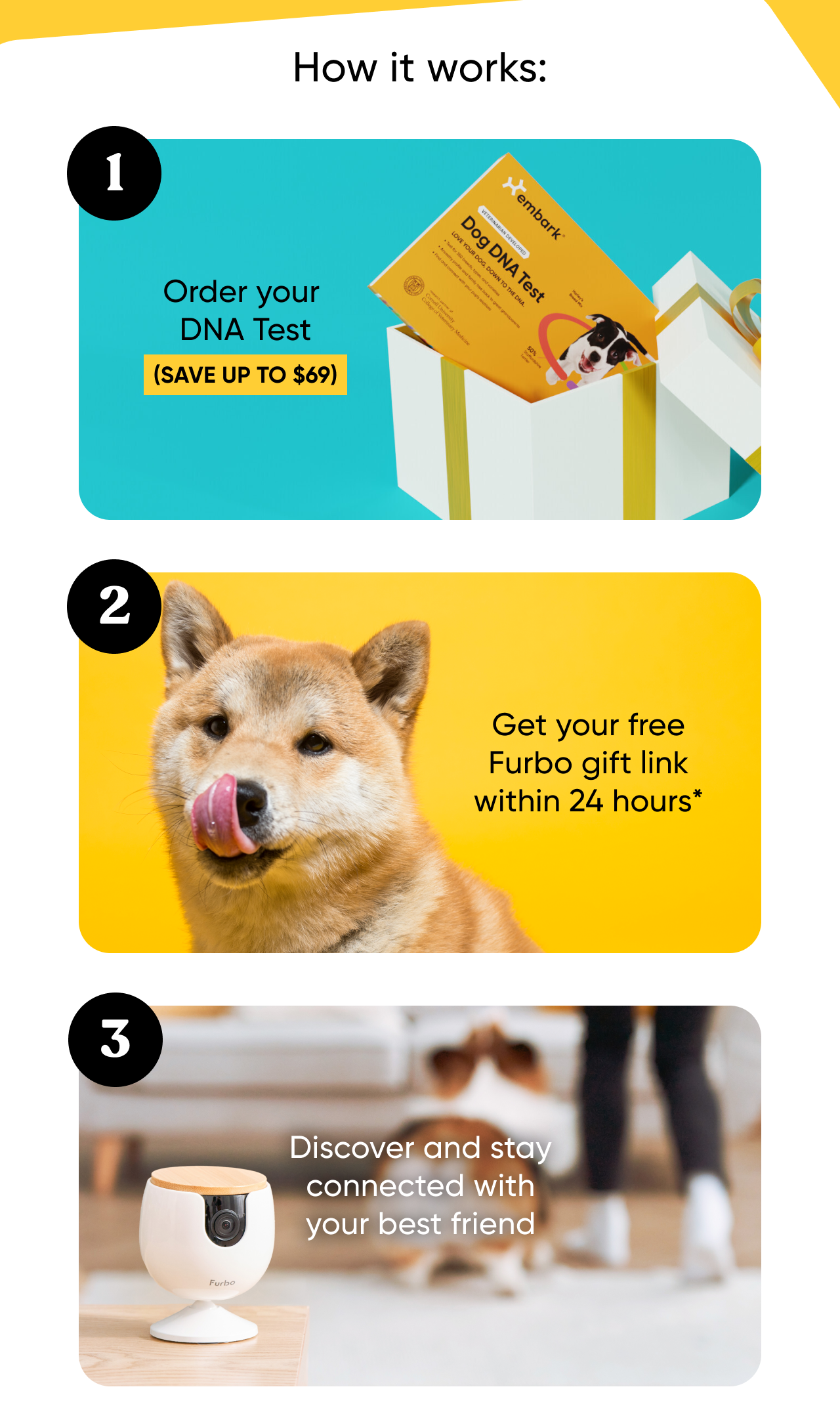 Up to $69 off + free Furbo Mini with every Embark DNA Test order.
