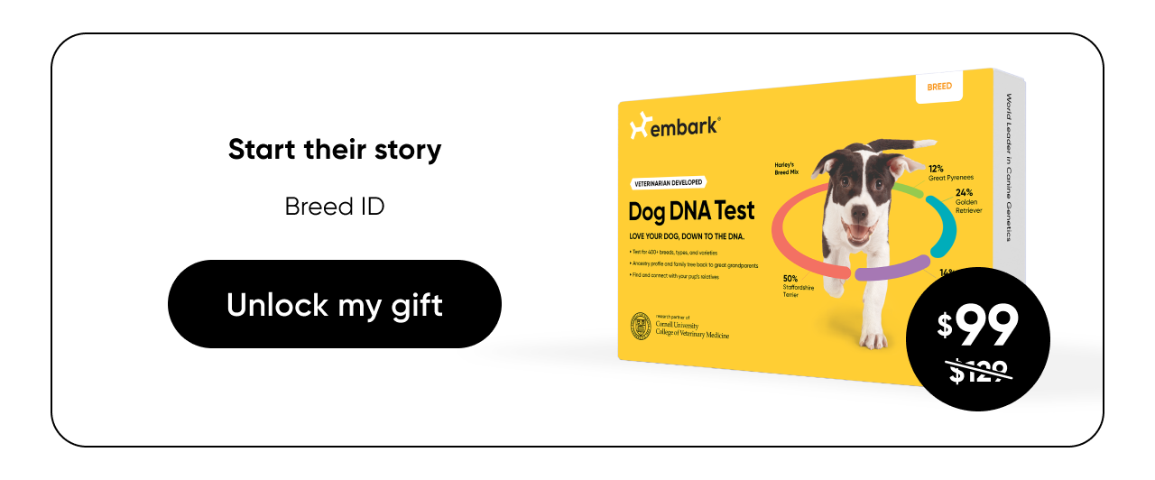 Shop Breed ID Test
