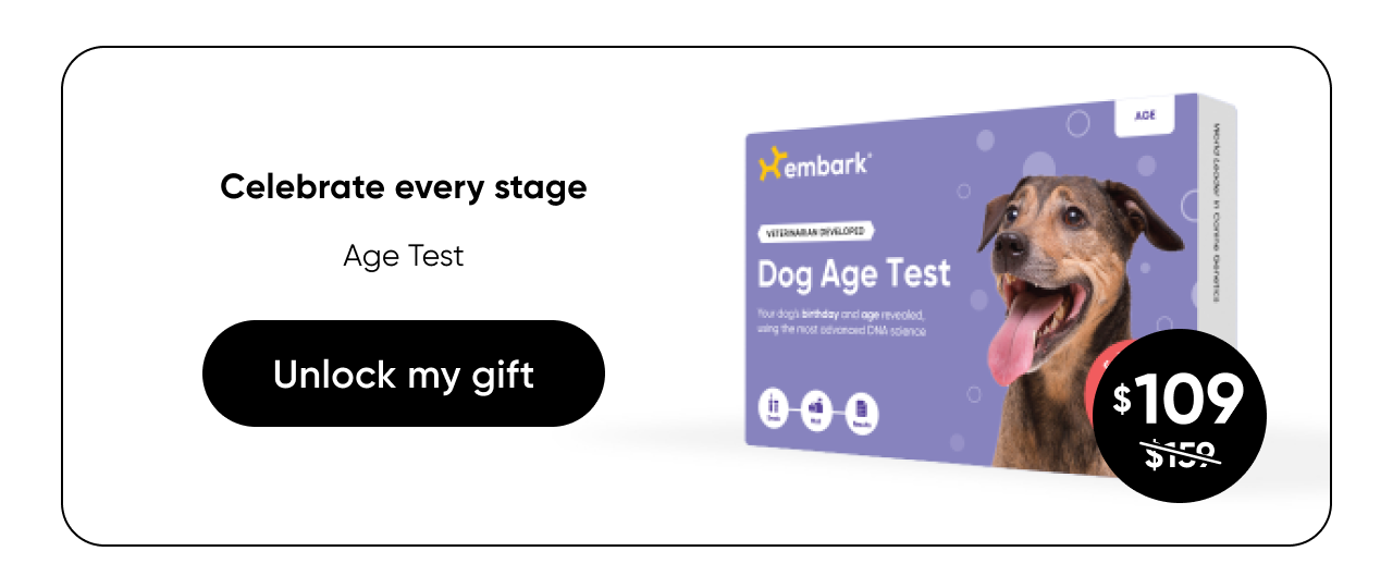 Shop Age Test