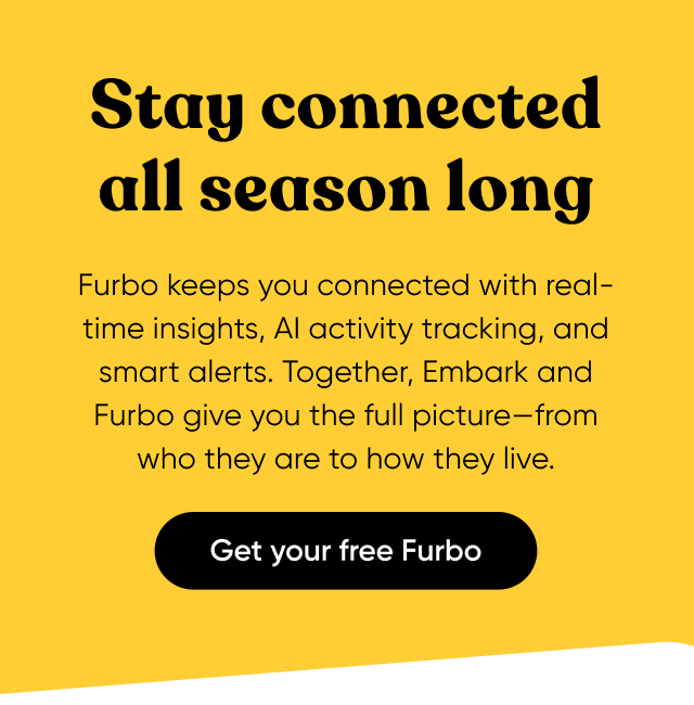 Stay connected—where life takes you. Get your free Furbo