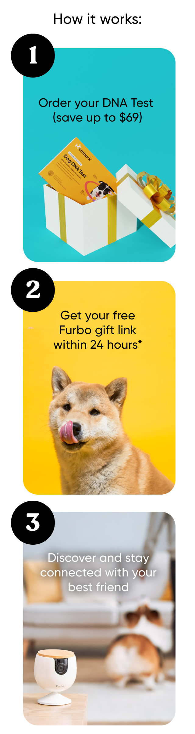 Up to $69 off + free Furbo Mini with every Embark DNA Test order.