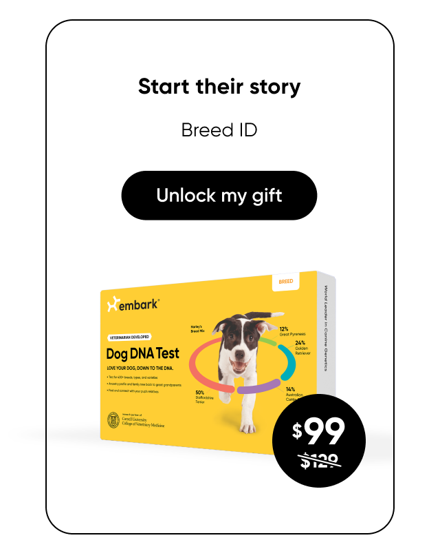 Shop Breed ID Test