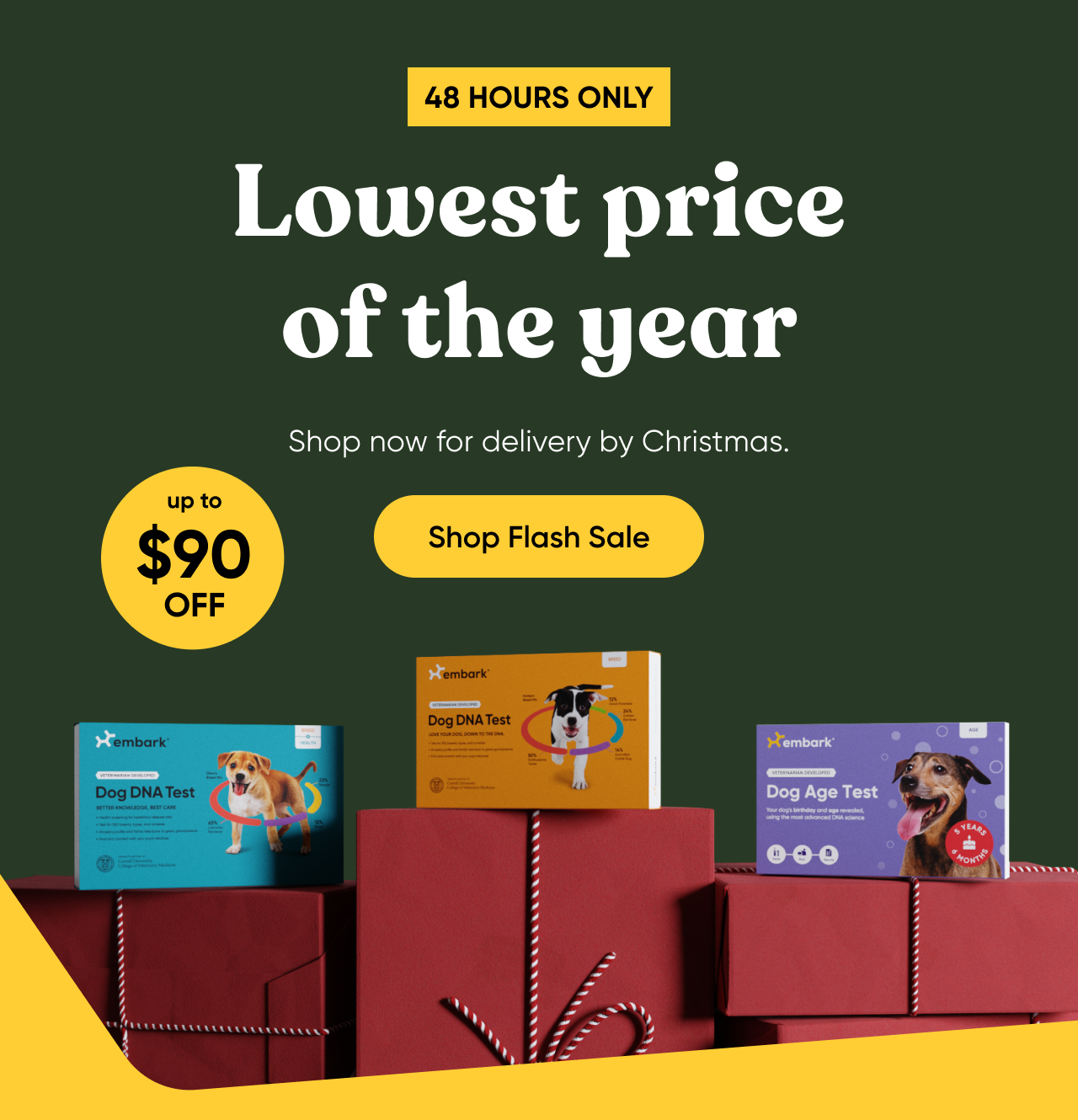 48 hours only. Lowest price of the year! Shop now for delivery by Christmas. Shop Flash Sale.