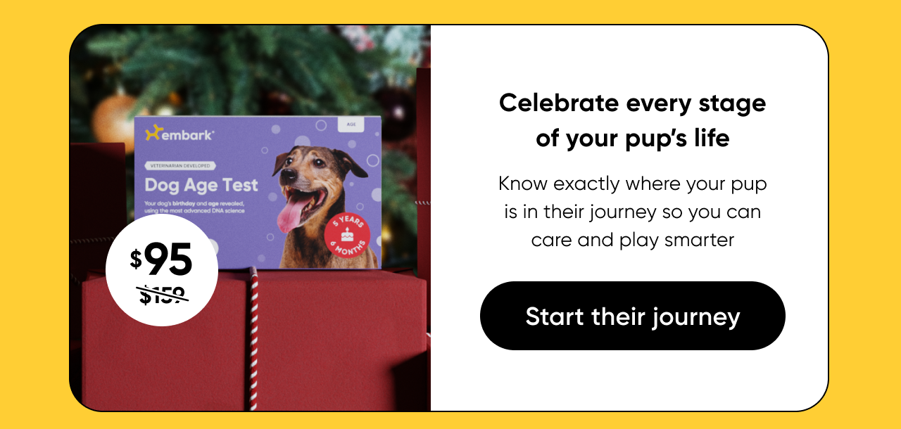 Celebrate every stage of your pup's life. Shop Age Test