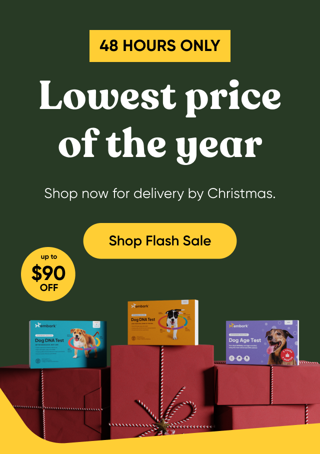 48 hours only. Lowest price of the year! Shop now for delivery by Christmas. Shop Flash Sale.