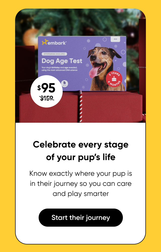 Celebrate every stage of your pup's life. Shop Age Test