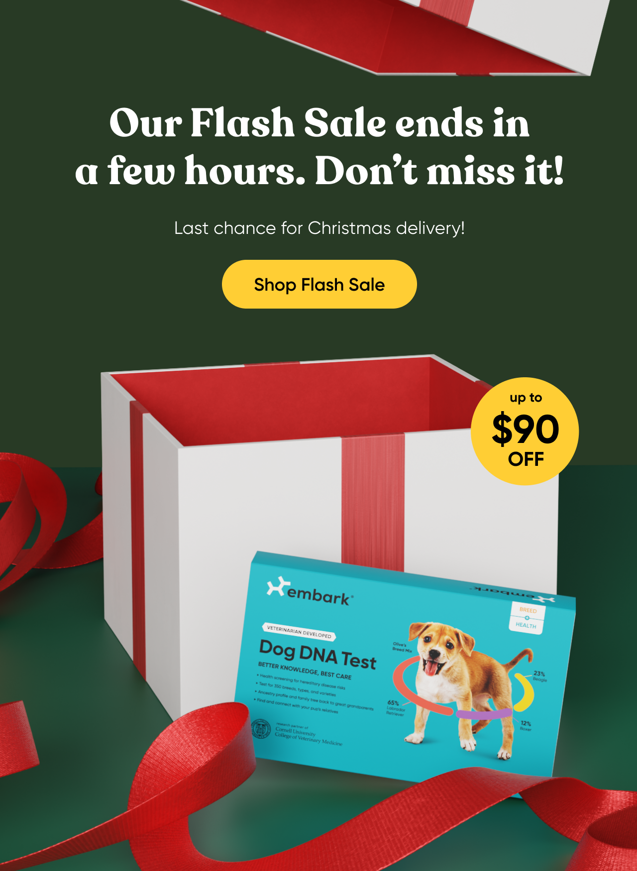 Our Flash Sale ends in a few hours. Don't miss it! Last chance for Christmas delivery! Shop Flash Sale