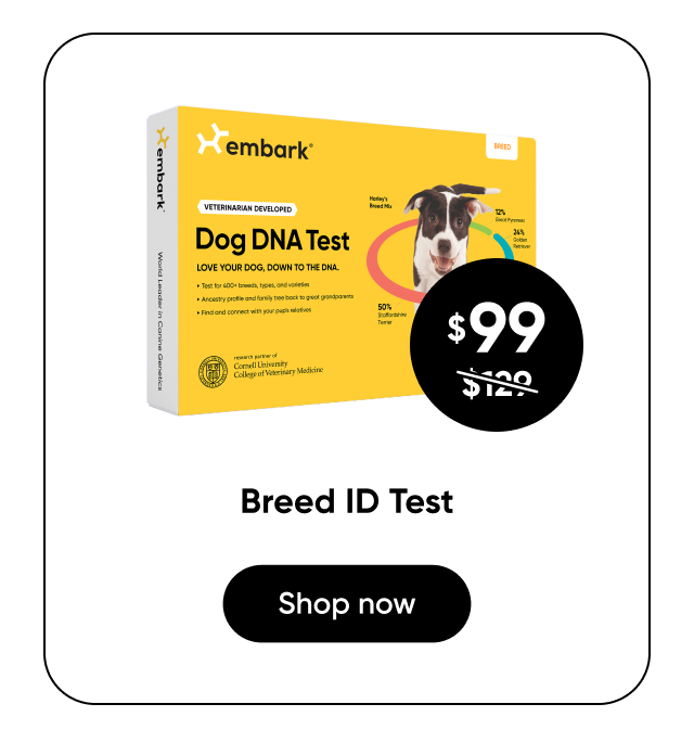 Shop Breed ID Test