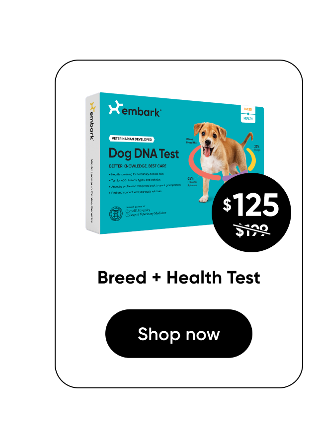 Shop Breed + Health Test