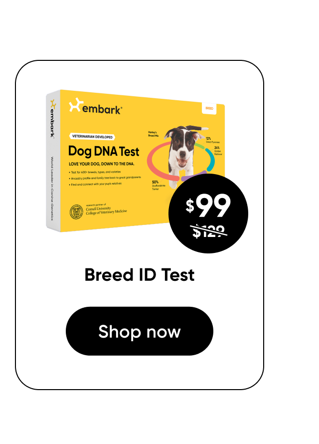 Shop Breed ID Test