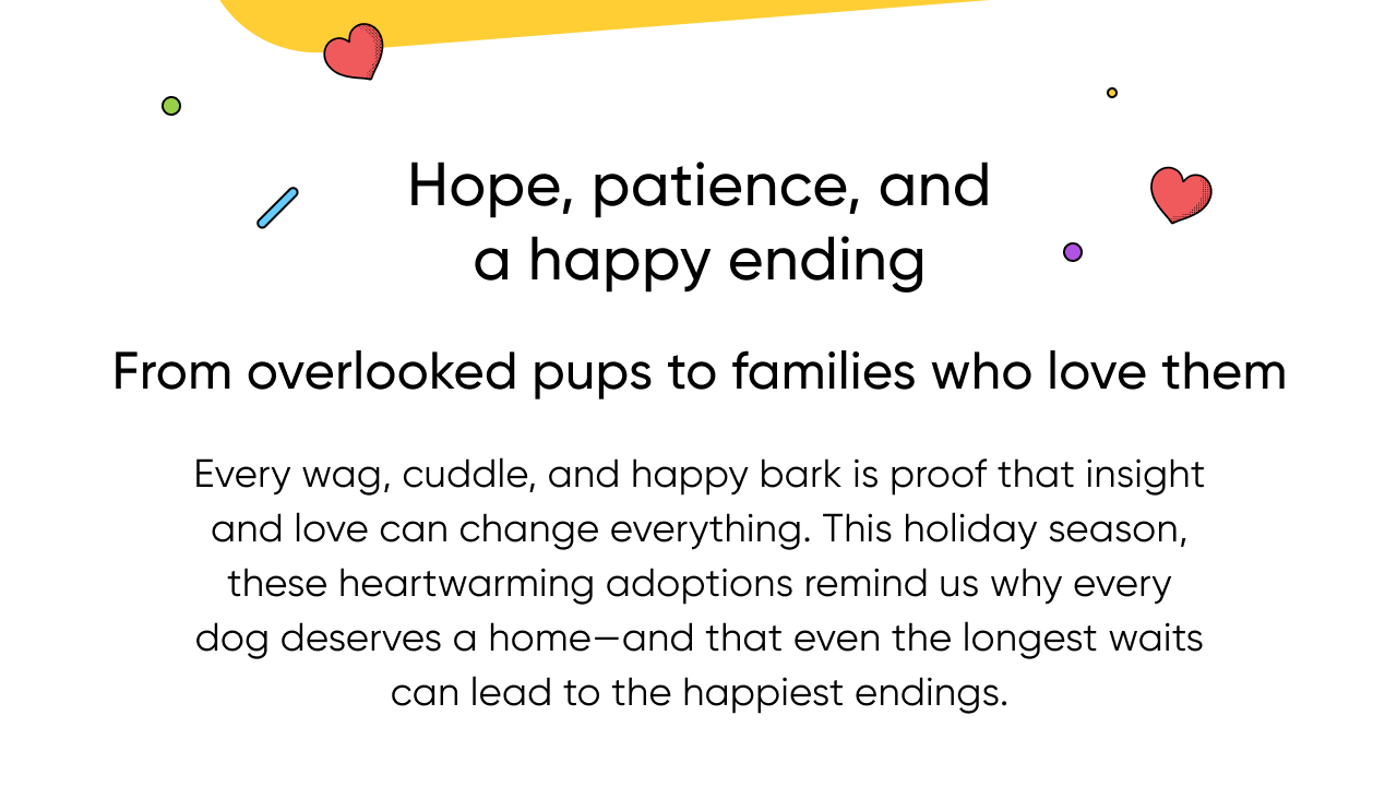 Hope, patience, and a happy ending. From overlooked pups to families who love them. Every wag, cuddle, and happy bark is proof that insight and love can change everything. This holiday season, these heartwarming adoptions remind us why every dog deserves a home—and that even the longest waits can lead to the happiest endings.