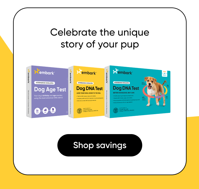 Celebrate your dog's unique story