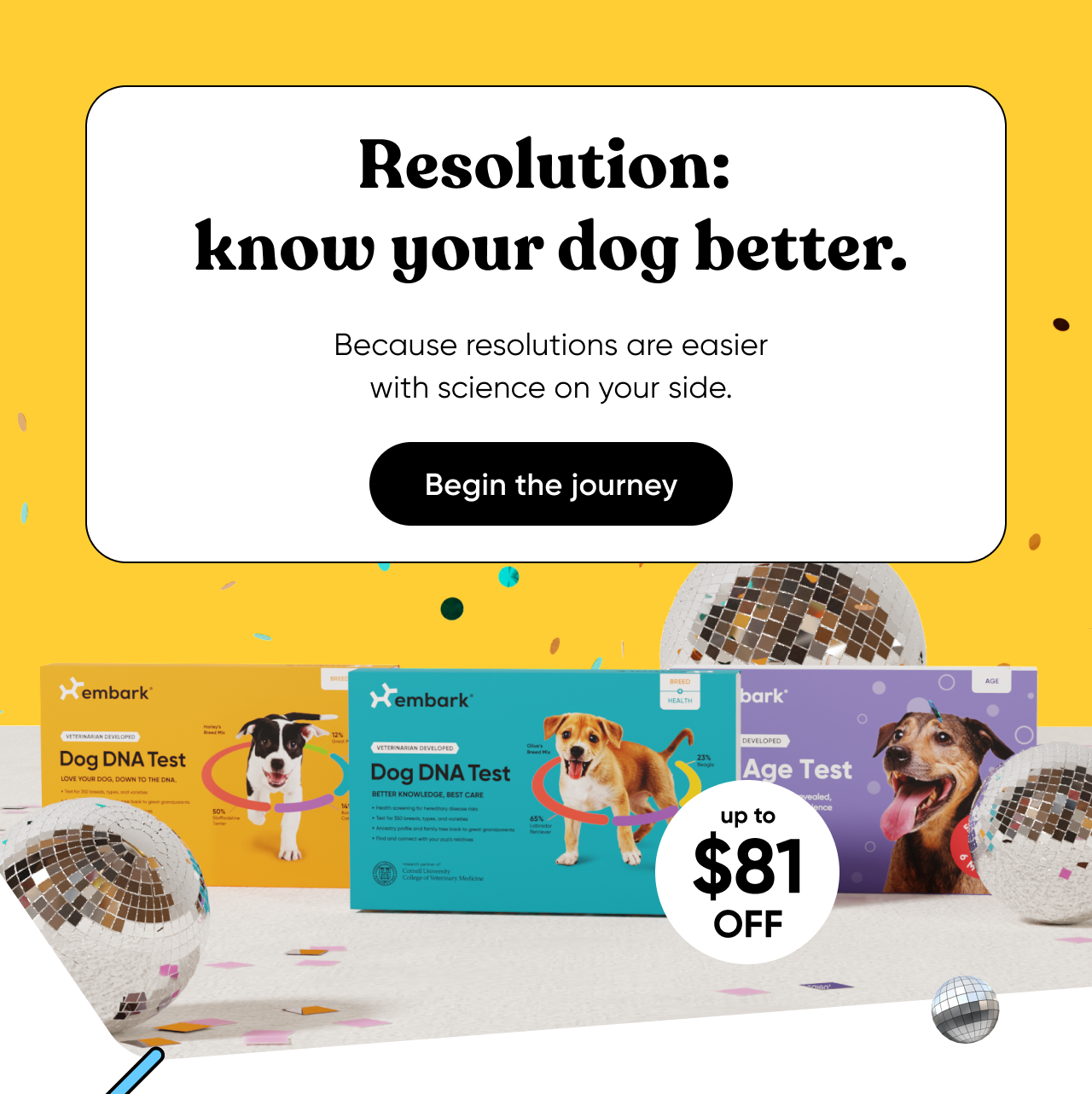 Resolution: know your dog better. Because resolutions are easier with science on your side. Begin the journey.