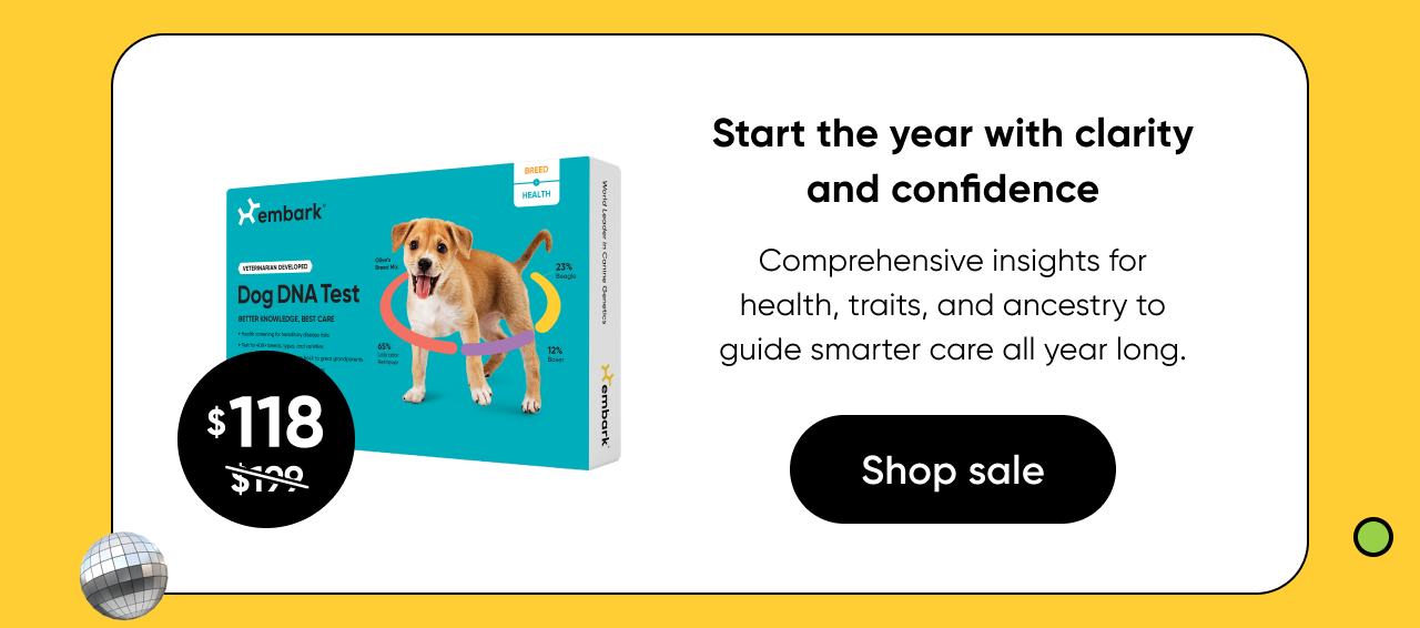 Start the year with clarity and confidence. Shop Breed + Health Test