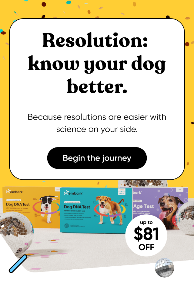 Resolution: know your dog better. Because resolutions are easier with science on your side. Begin the journey.