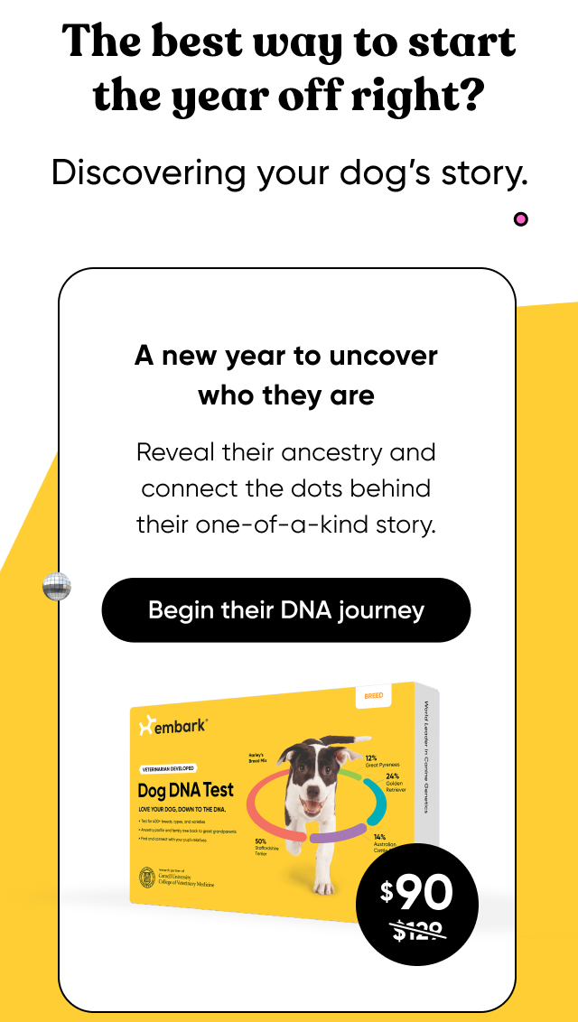 A new year to uncover who they are. Shop Breed ID Test.