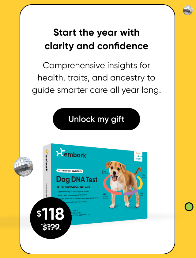 Start the year with clarity and confidence. Shop Breed + Health Test