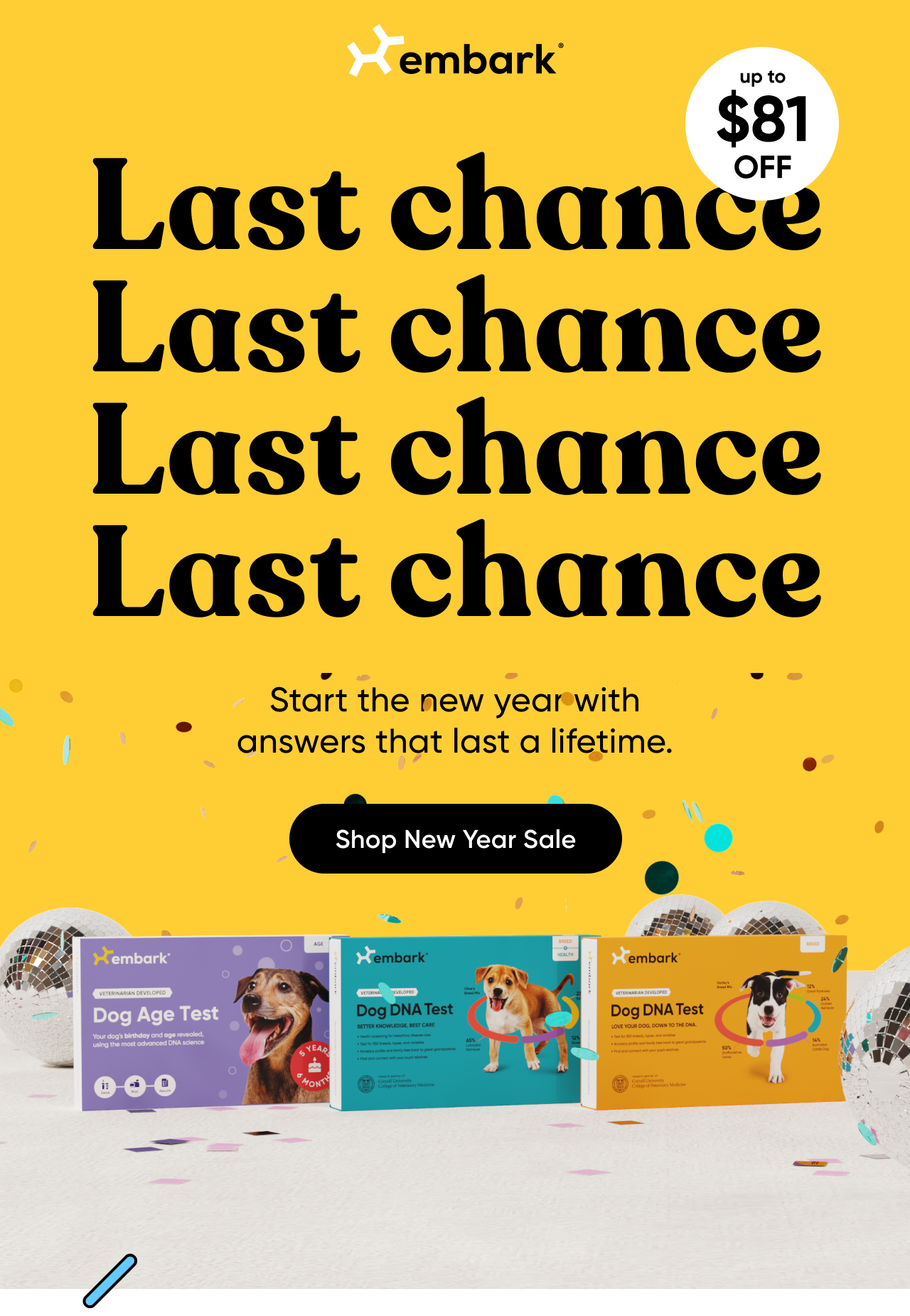 Last chance! Start the new year with answers that last a lifetime. Shop New Year Sale.