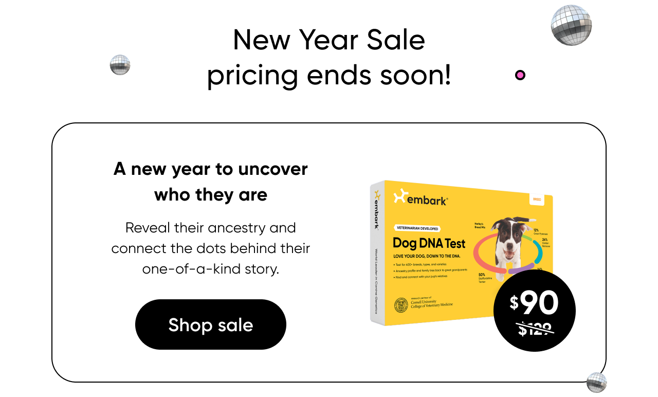 A new year to uncover who they are. Shop Breed ID Test.
