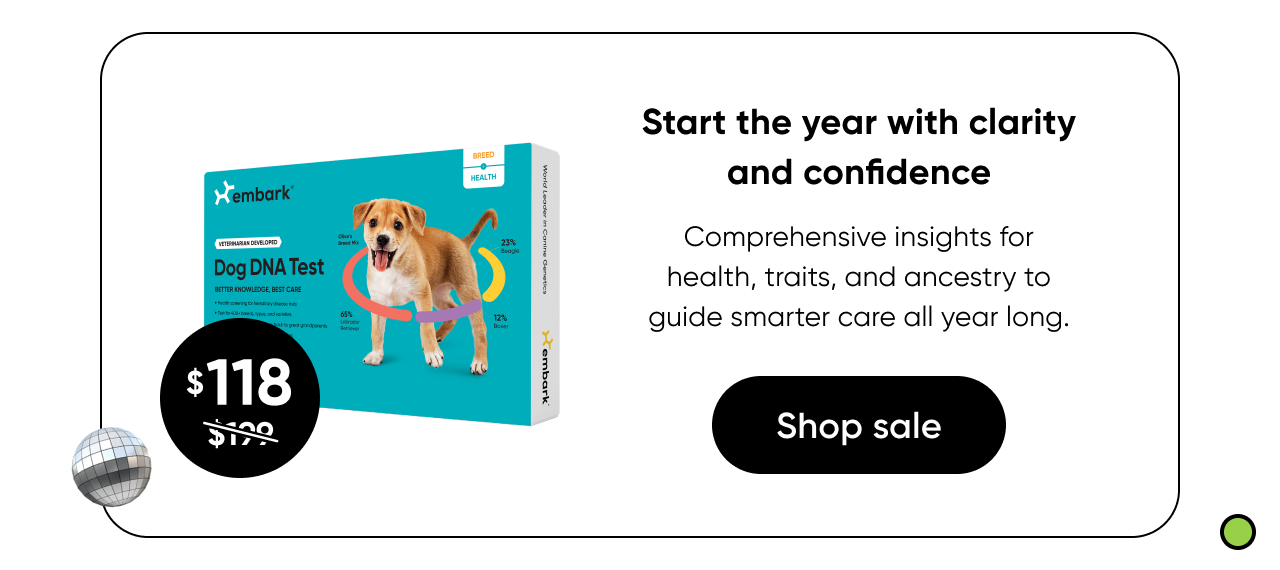 Start the year with clarity and confidence. Shop Breed + Health Test