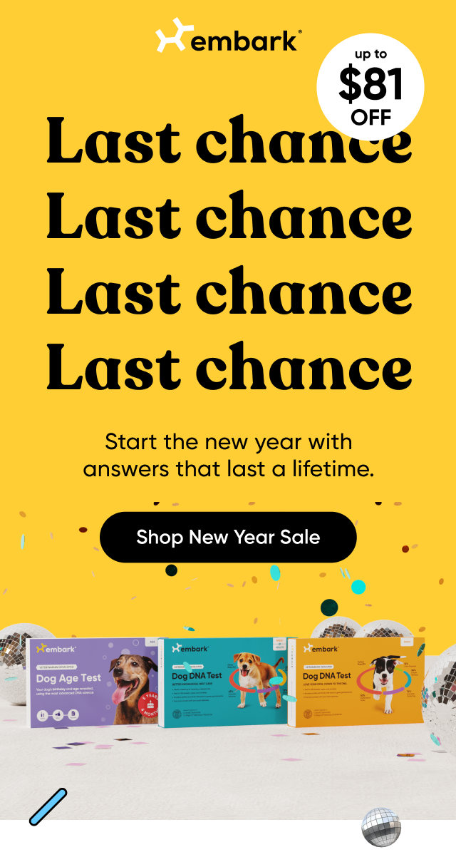 Last chance! Start the new year with answers that last a lifetime. Shop New Year Sale.