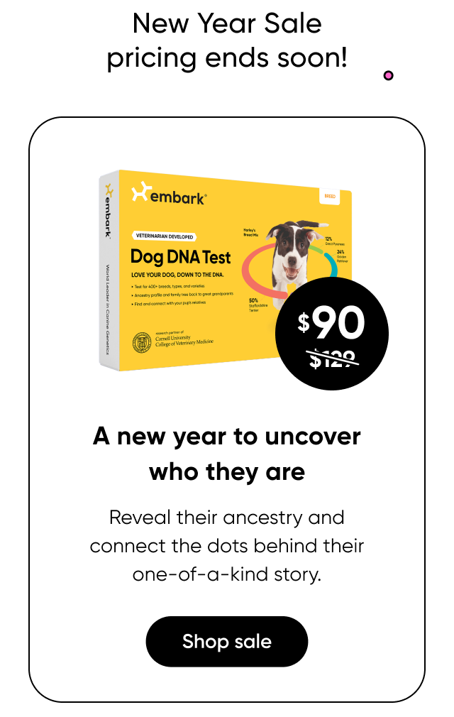 A new year to uncover who they are. Shop Breed ID Test.