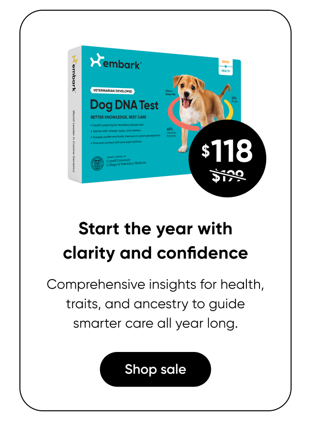 Start the year with clarity and confidence. Shop Breed + Health Test