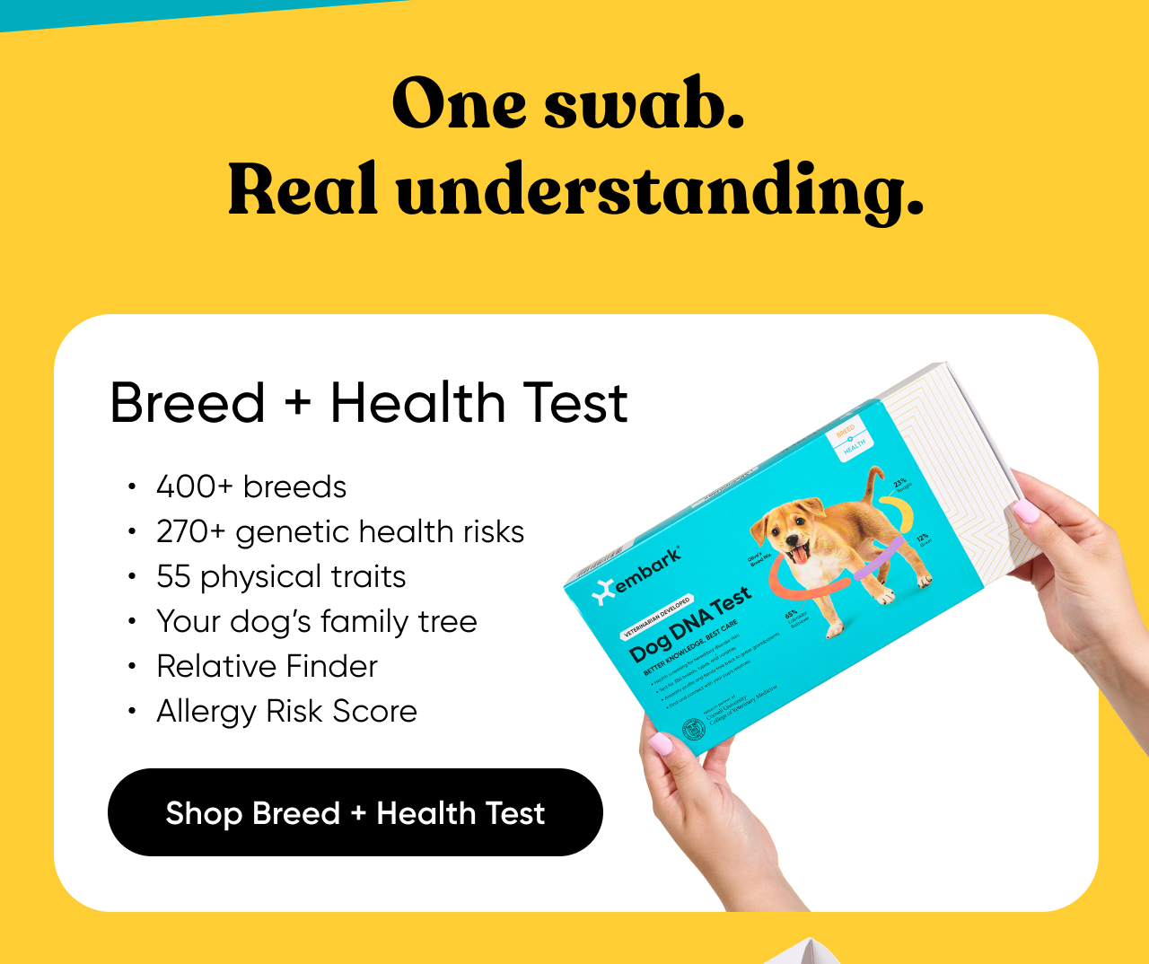 One swab. Real understanding. Shop Breed + Health Test.