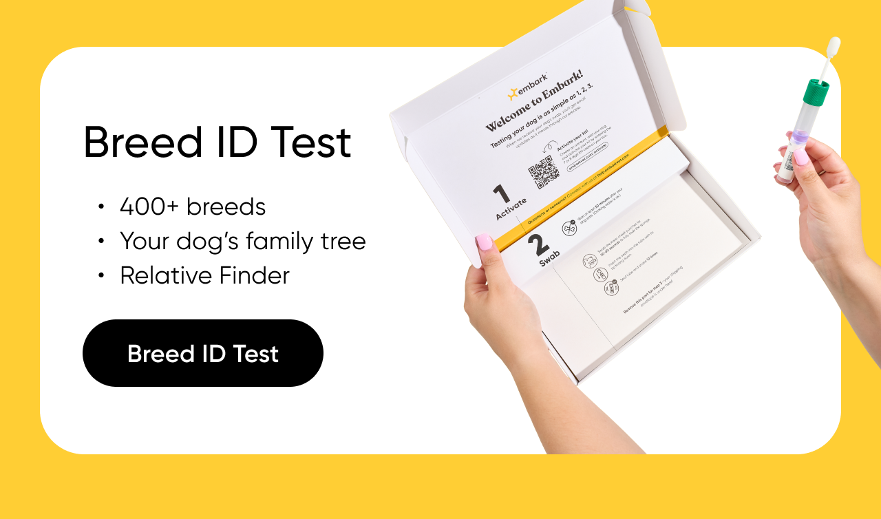 Shop Breed ID Test.