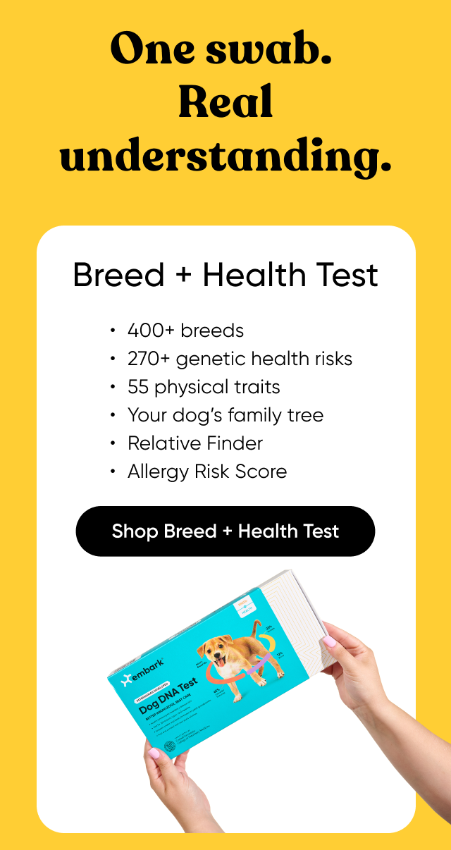 One swab. Real understanding. Shop Breed + Health Test.