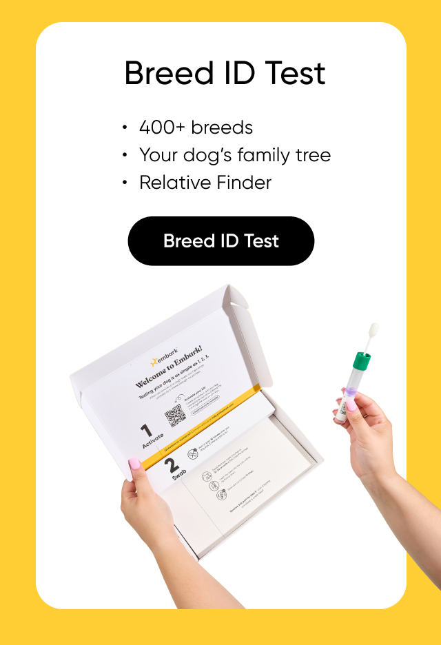 Shop Breed ID Test.