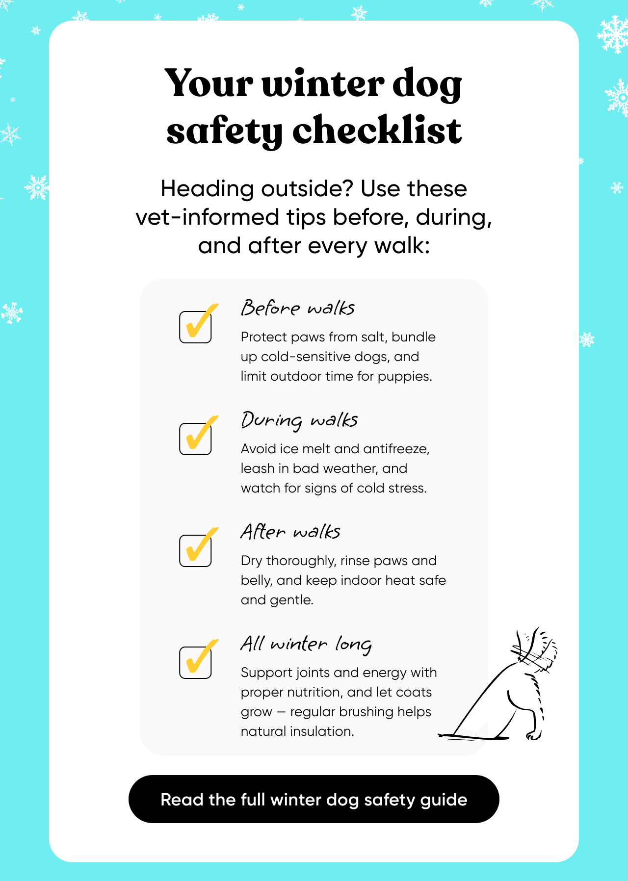 Your winter dog safety checklist. Heading outside? Use these vet-informed tips before, during, and after every walk.