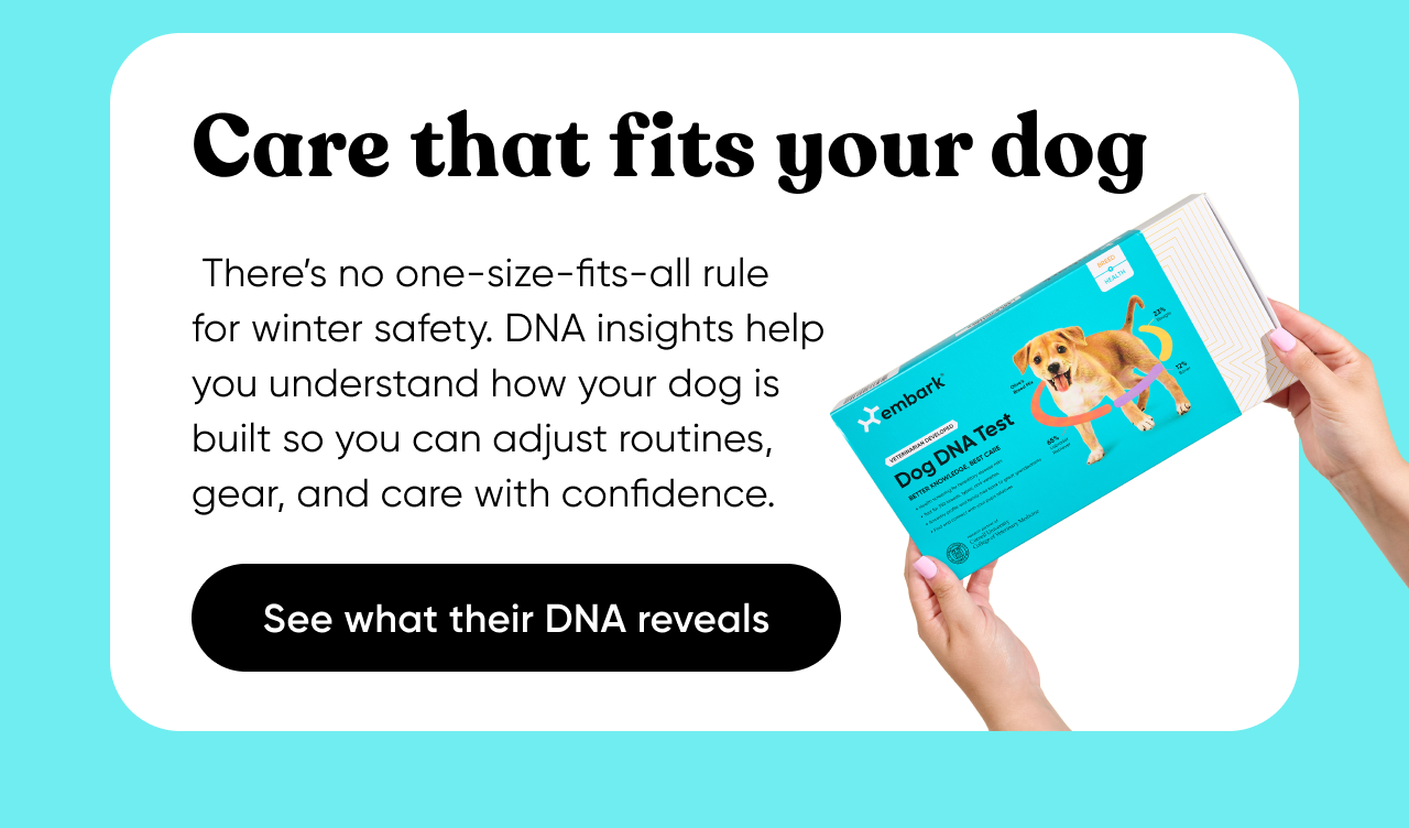 Care that fits your dog. There's no one-size-fits-all rule for winter safety. DNA insights help you understand how your dog is built so you can adjust routines, gear, and care with confidence.