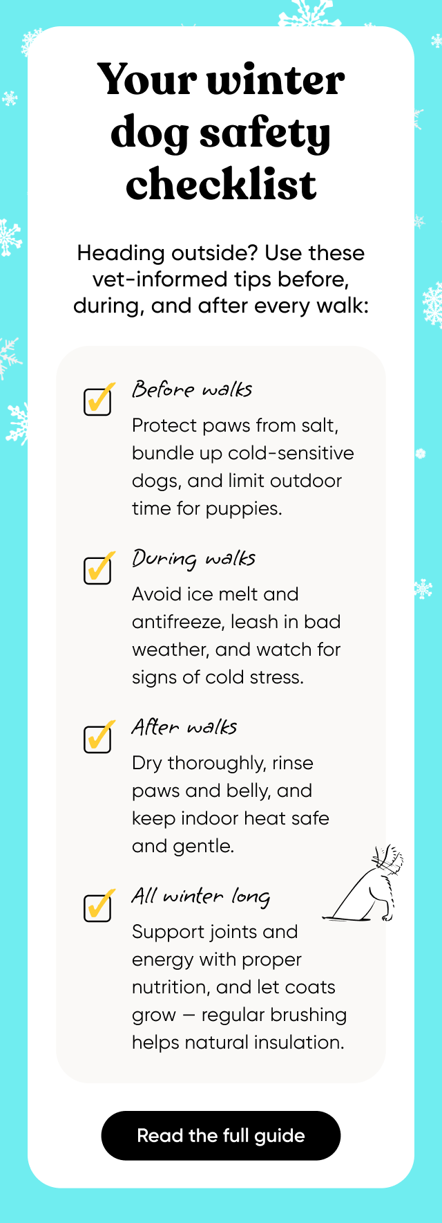 Your winter dog safety checklist. Heading outside? Use these vet-informed tips before, during, and after every walk.