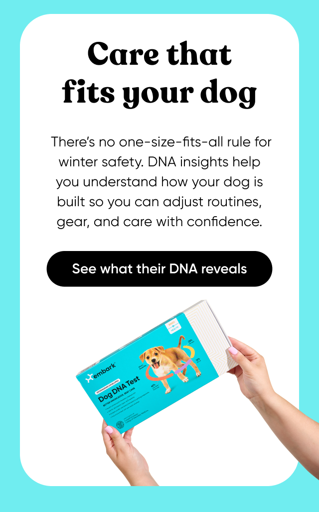 Care that fits your dog. There's no one-size-fits-all rule for winter safety. DNA insights help you understand how your dog is built so you can adjust routines, gear, and care with confidence.