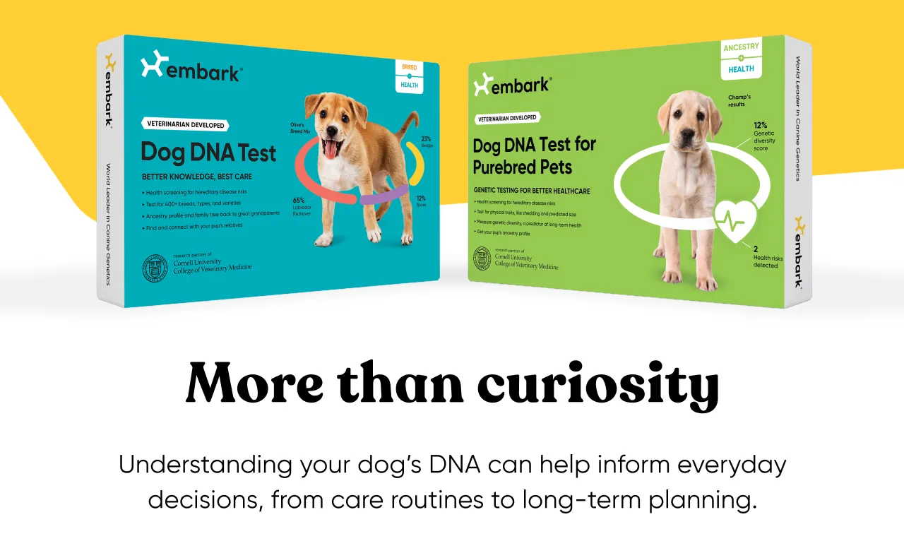 More than curiosity. Understanding your dog's DNA can help inform everyday decisions, from care routines to long-term planning.