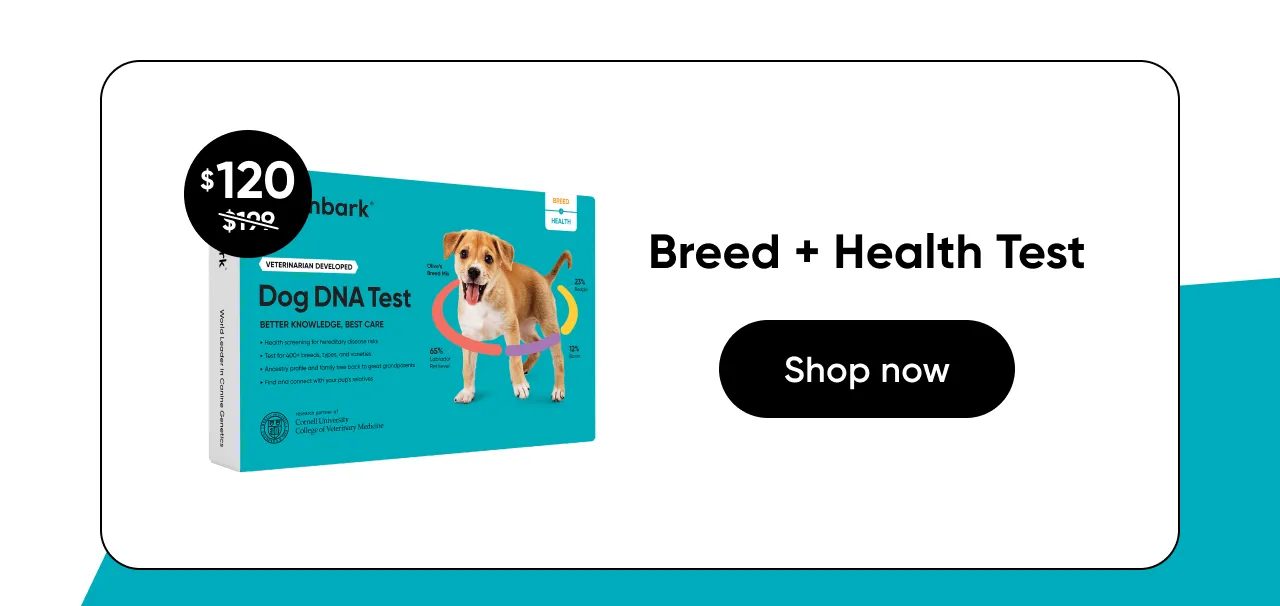 Shop Breed + Health Test