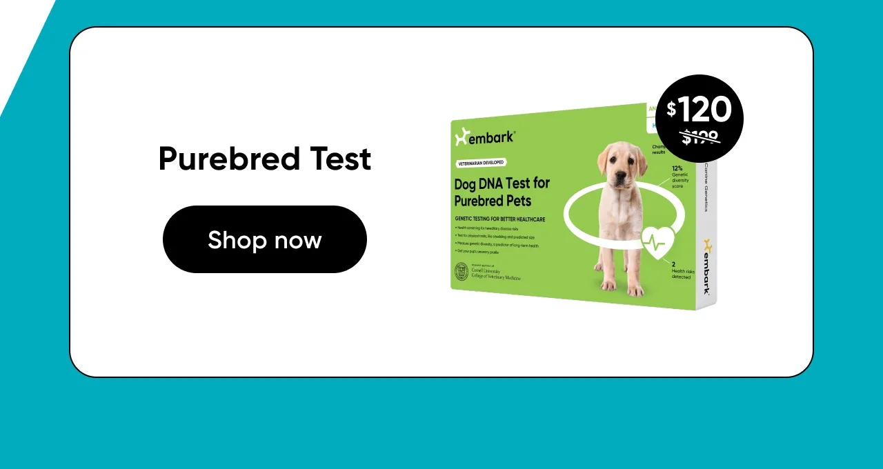 Shop Purebred Test