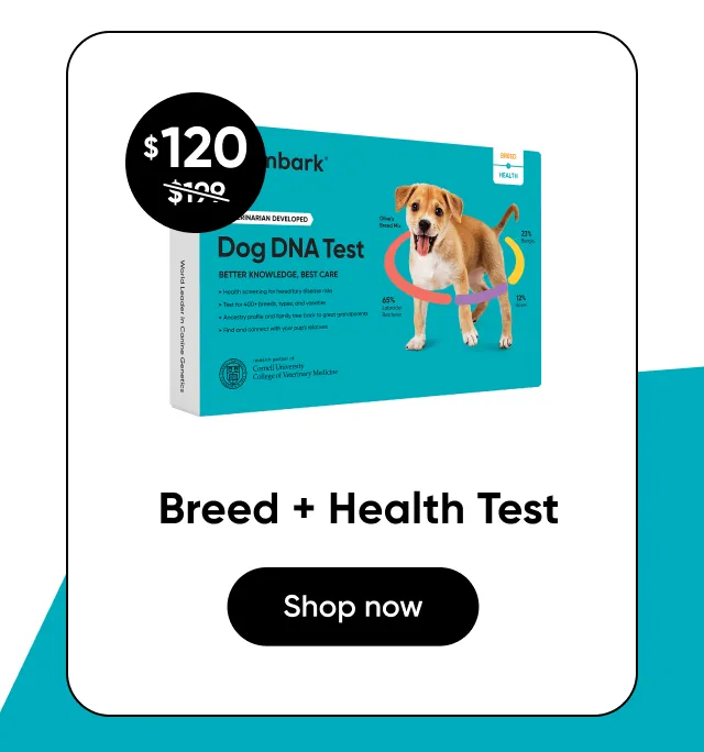 Shop Breed + Health Test