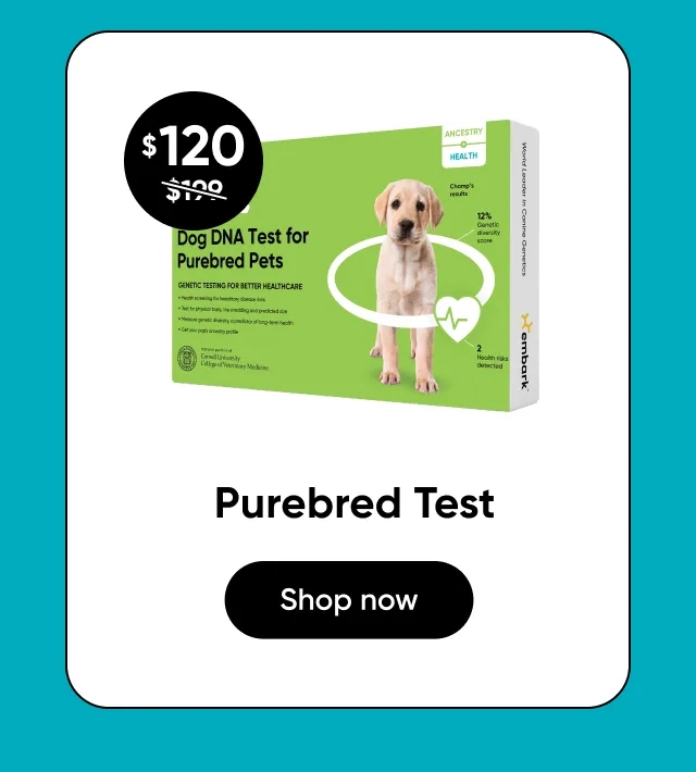 Shop Purebred Test