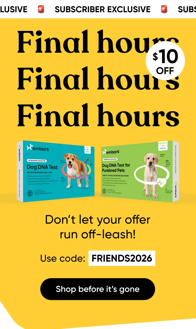 Final Hours! Don't let your offer run off-leash! Use code: FRIENDS2026