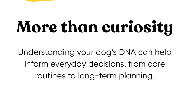 More than curiosity. Understanding your dog's DNA can help inform everyday decisions, from care routines to long-term planning.